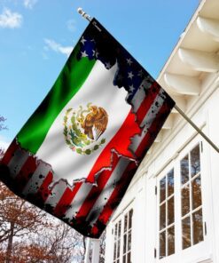 i may live in the usa but my story began in mexico flag 5856