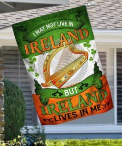 i may not live in ireland but ireland lives in me flag 1044