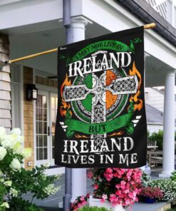 I May Not Live In Ireland But Ireland Lives In Me Flag
