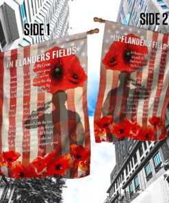 in flanders fields, poppy american flag 2587
