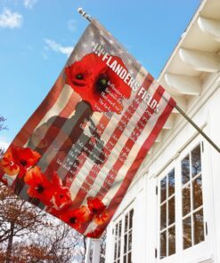 in flanders fields, poppy american flag 3379