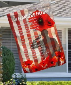 in flanders fields, poppy american flag 4392