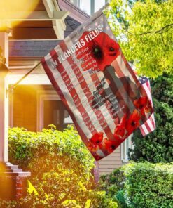 in flanders fields, poppy american flag 8781