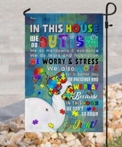 in this autism house flag 1781