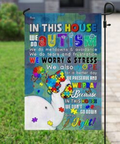 in this autism house flag 3010