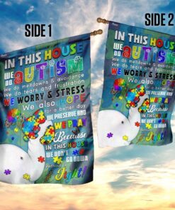 in this autism house flag 4766