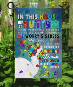 in this autism house flag 7484