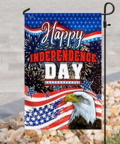 independence day american eagle flag 2438