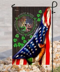 irish american flag 3416