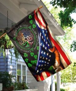 irish american flag 7651