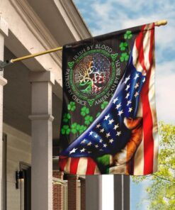 irish american flag 8242