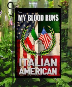 italian american flag 5948