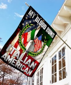 italian american flag 8510