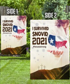 jesus bless texas flag 1359