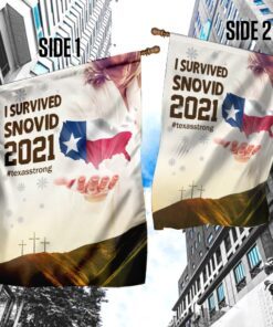 jesus bless texas flag 3785