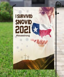 jesus bless texas flag 4374