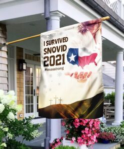 jesus bless texas flag 4703
