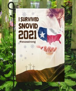 jesus bless texas flag 5772