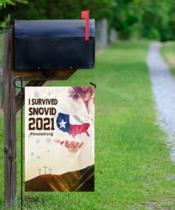 jesus bless texas flag 8283