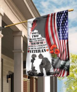 Jesus Christ And American Veteran Flag