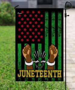 juneteenth. black pride flag 8975