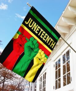 juneteenth african flag 7999