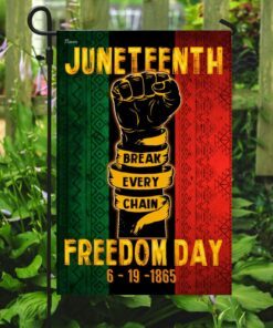 juneteenth freedom flag 5565