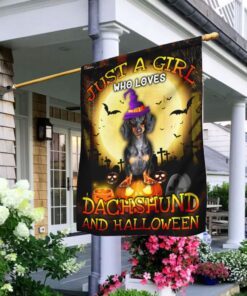 just a girl who loves dachshund and halloween flag 3404