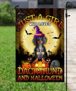 just a girl who loves dachshund and halloween flag 6059