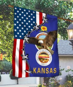 kansas eagle american flag mln317f 2978