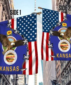 kansas eagle american flag mln317f 7363