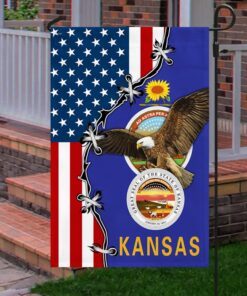 kansas eagle american flag mln317f 7873