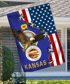 Kansas Eagle American Flag MLN317F