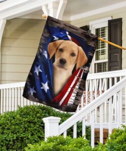 labrador retriever american flag 1679