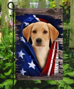 labrador retriever american flag 2452