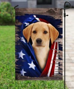 labrador retriever american flag 3565