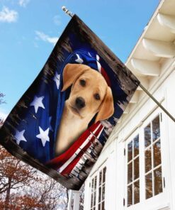 labrador retriever american flag 4027