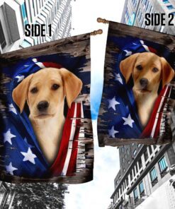 labrador retriever american flag 4897