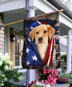 labrador retriever american flag 6328