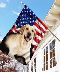 labrador retriever american flag 7484
