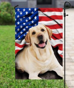 labrador retriever american flag 7861