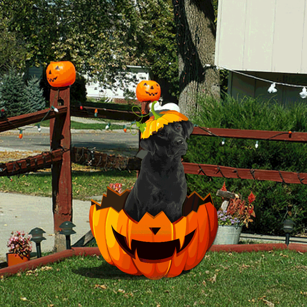 Labrador Retriever Metal Sign Halloween Garden Sign Decoration QNK11MS