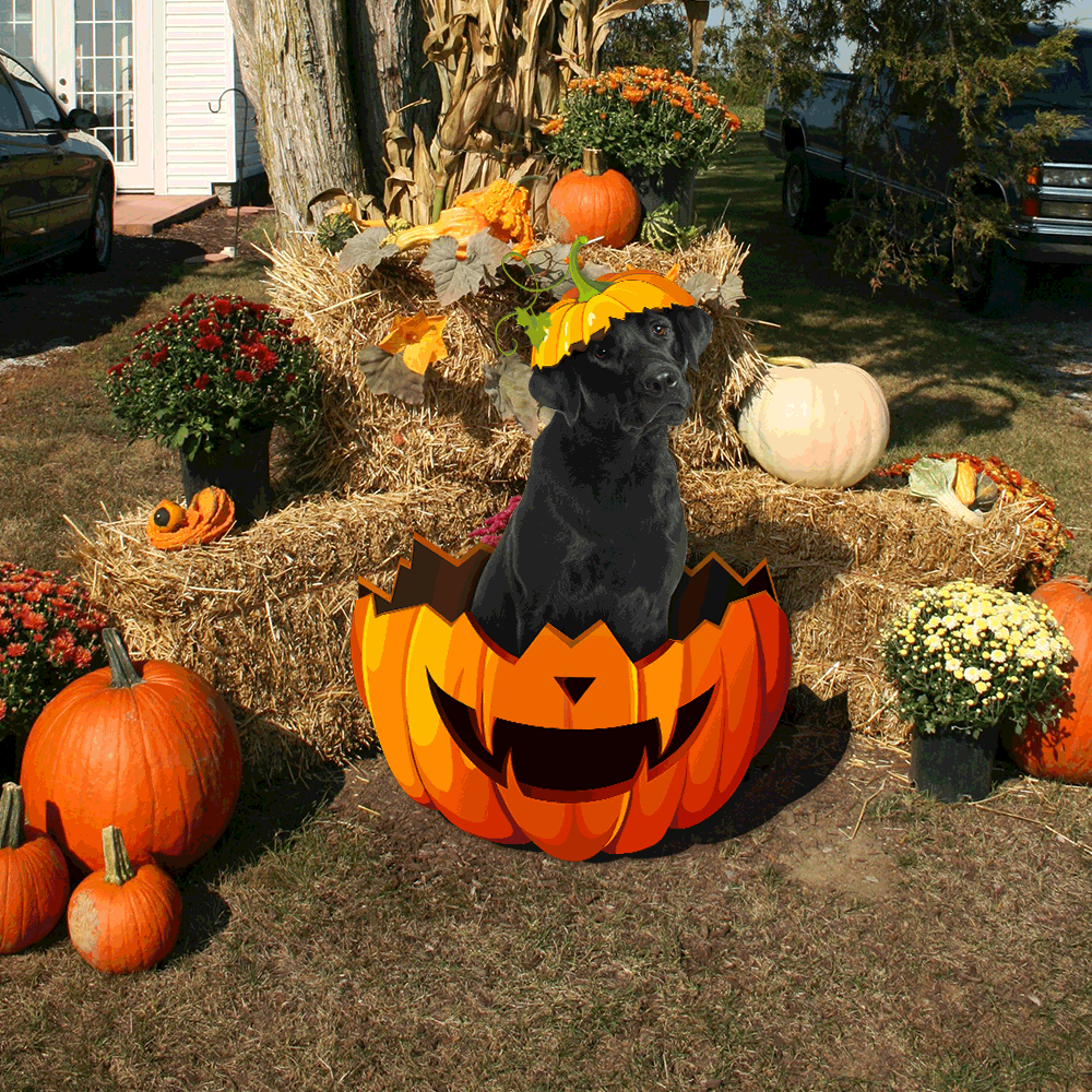 Labrador Retriever Metal Sign Halloween Garden Sign Decoration QNK11MS - Image 4