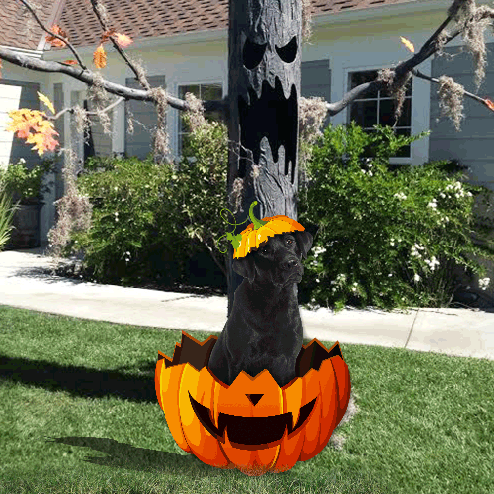 Labrador Retriever Metal Sign Halloween Garden Sign Decoration QNK11MS - Image 3