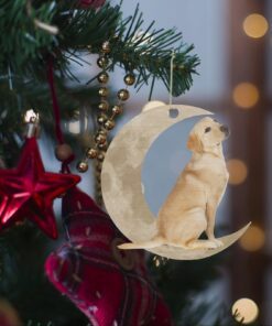 labrador retriever ornament, yellow lab on the moon christmas ornament qnk879ov1a 2265