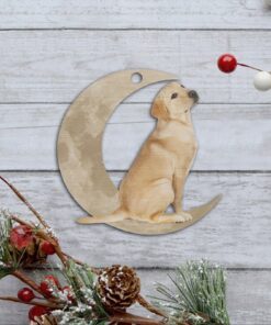 labrador retriever ornament, yellow lab on the moon christmas ornament qnk879ov1a 3059
