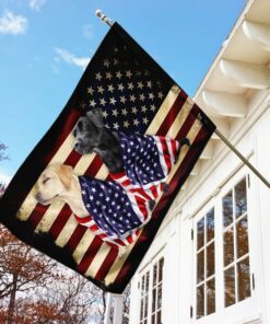 labrador retrievers american flag 1853