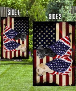 labrador retrievers american flag 4862