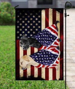 labrador retrievers american flag 5676