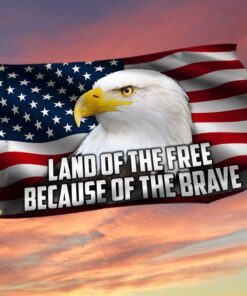 Land Of The Free Because Of The Brave Grommet Flag QNN663GF